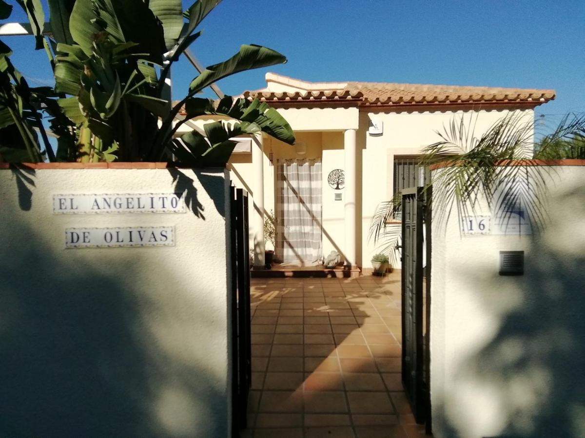 Guest House El Angelito De Olivas Pedreguer Exterior photo